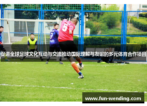 促进全球足球文化互动与交流推动国际理解与友谊的多元体育合作项目
