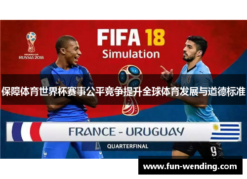 保障体育世界杯赛事公平竞争提升全球体育发展与道德标准