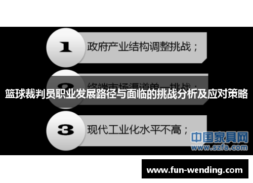 篮球裁判员职业发展路径与面临的挑战分析及应对策略