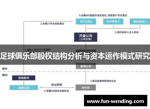 足球俱乐部股权结构分析与资本运作模式研究