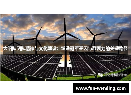太阳队团队精神与文化建设：塑造冠军基因与凝聚力的关键路径