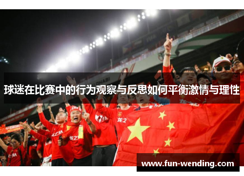 球迷在比赛中的行为观察与反思如何平衡激情与理性