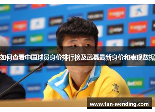 如何查看中国球员身价排行榜及武磊最新身价和表现数据