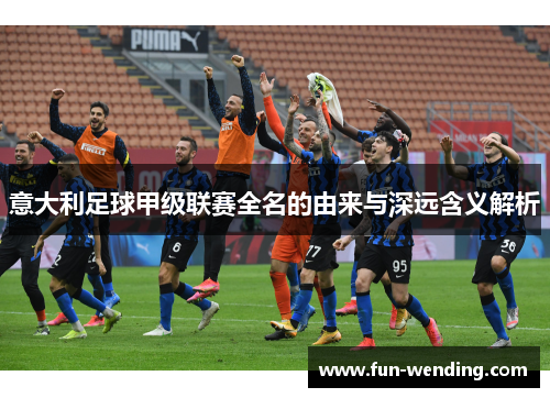 意大利足球甲级联赛全名的由来与深远含义解析